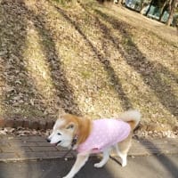 クリンへの想いは尽きなくて・・・310
