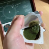 インシトゥ ハーブラピール