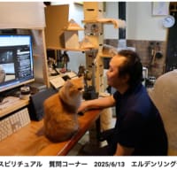 最近語っている「ミェフ」とは？