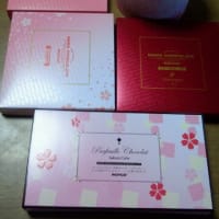 斎さん 大好きな霊能者さんでした お人形と同じ部屋で寝起きしている私