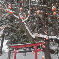 もろびとこぞりて　（その4）
