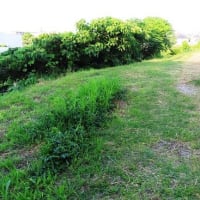 平岡公園から石津川沿い