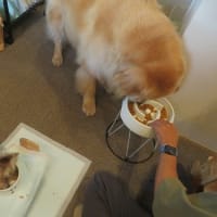 連日午前４時起きはちとつらい