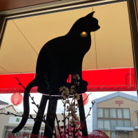 2025年3月です！