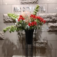 新札幌へ