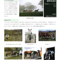遠野馬通信NO.97