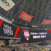 野球観戦⓻