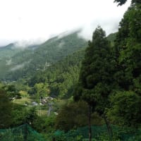 令和7年6月15日・今朝の東祖谷20℃【16.6℃】