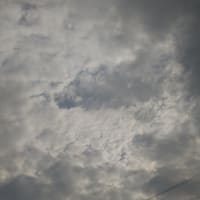 努力の意義