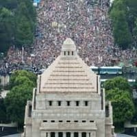 ＞独立党員を引き連れて、ワクチン接種反対デモを東京でやってくれ。