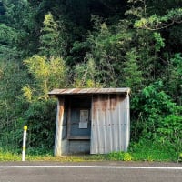 我ながら上手く出来たと思いながら～