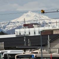 高山にいます