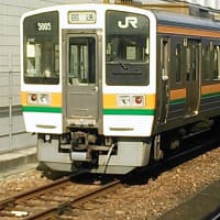 電男