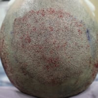 Moten医院はリピート客が多い病院。