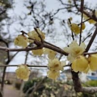 お友だちとの約束