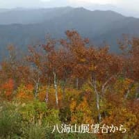 八海山の紅葉