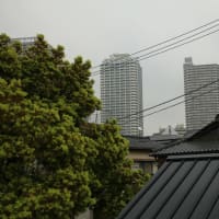 佃島・月島の春