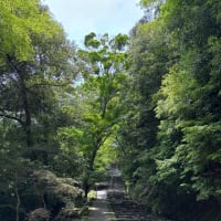 京都旅行2025②