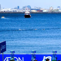 ２０２４年世界トライアスロンシリーズ横浜大会（２）