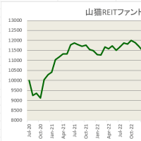 2025年4月REIT投資成績：安定的です