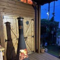 久しぶりに、オルビス仲間がやって来ました。