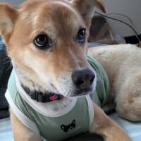婆a婆　お帰りなさい