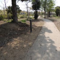 ジオベスト  真砂土舗装