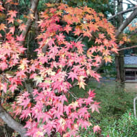 金沢 白川郷旅行 9