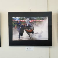 堤　浩康　「米寿記念」写真展