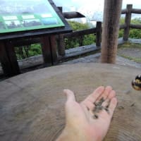 散歩で里山へ行けば・・・山あり谷あり