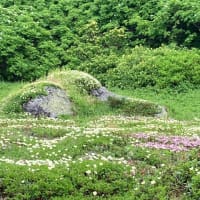 大雪山赤岳〜黒岳縦走　2025/7/10その2