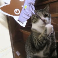 いにしえの首輪