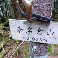 和名倉山に行って来ました。（秩父側から）