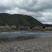 春の安芸の宮島　厳島神社　綿帯橋散策