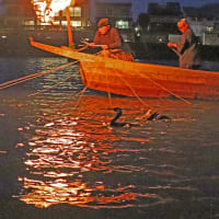 長良川鵜飼　１６