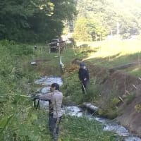 河川草刈り作業