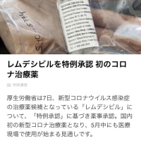これで為替もリスクオン？\(//∇//)\