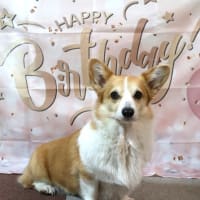 リコの6歳の誕生日