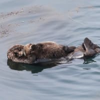 抱き抱えて・・