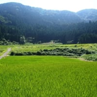 鳥取県・鳥取市の「鳥取のマチュピチュ」