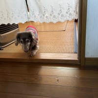 お家探検〜♡