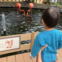 八景島シーパラダイス