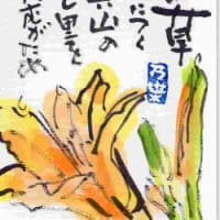 梅雨が明けたというけれど・・・