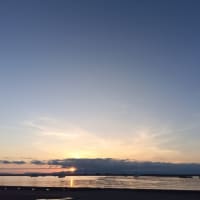 鯵釣り