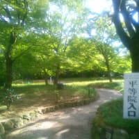 宇治川散歩