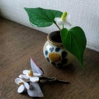 そろそろ梅雨入り