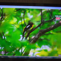鈴鹿山脈鎌が岳、