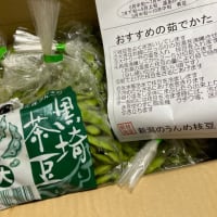 美味すぎる、茶豆