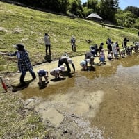 ◆  オーナーさん田植え