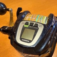 釣りの準備を楽しんでいます